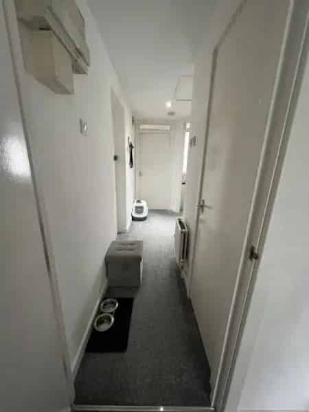 Flat For Rent , London, England