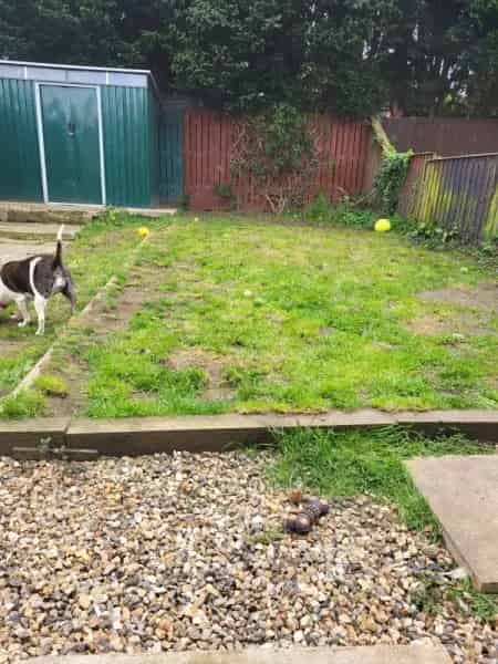 Lovely 2 Bed House Near Friends and Family