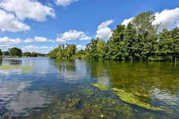 Braybank Property for Sale Maidenhead Berkshire