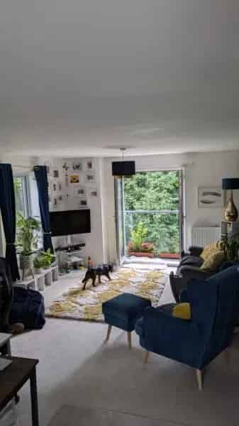 Flat For Rent , Torquay, England