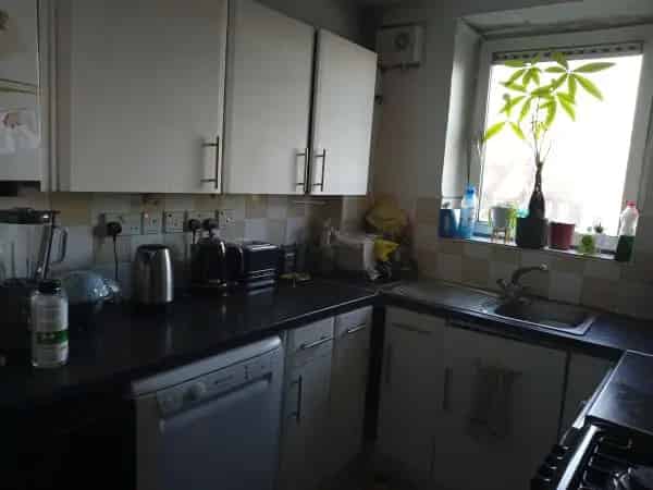 2 Bed Flat Bow E3 Pet-Friendly Near Victoria Park