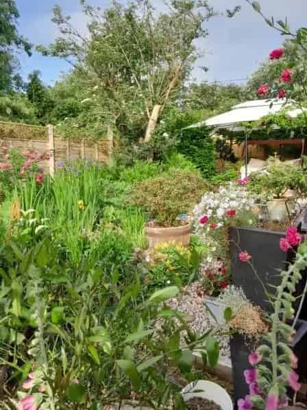 Semi Detached Bungalow Canal Views Renovated Garden