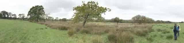 Pantlasau Farm Development Opportunity 600 Homes School Commercial Hub