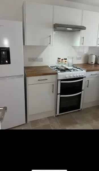 Spacious 2-Bed Flat Near Ascot Racecourse - Seeking Larger House