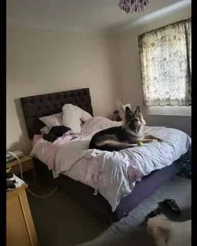 2 Bed Semi Detached House with Parking and Garden Pets Allowed