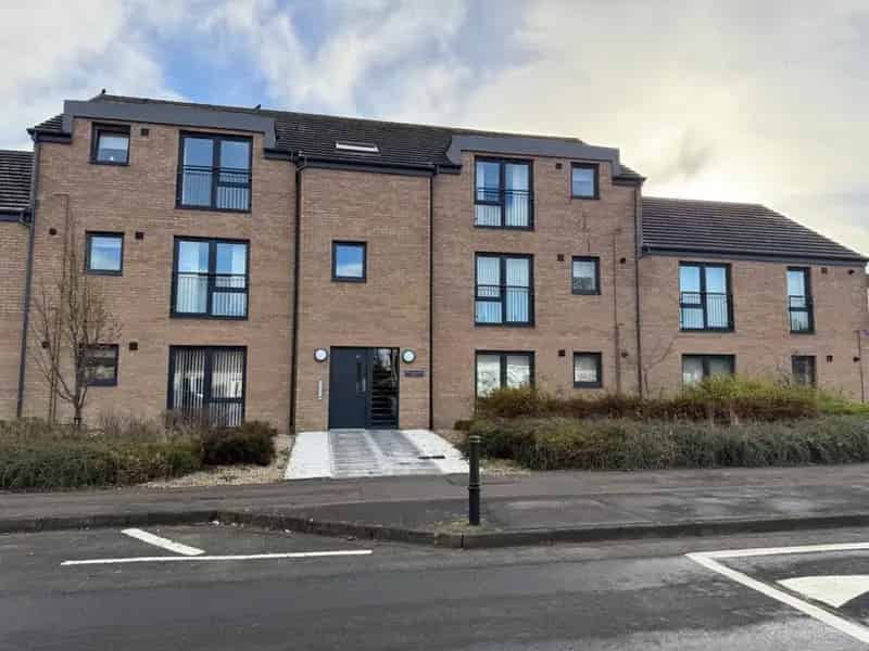 1 Bedroom Flat To Rent Available 30062025