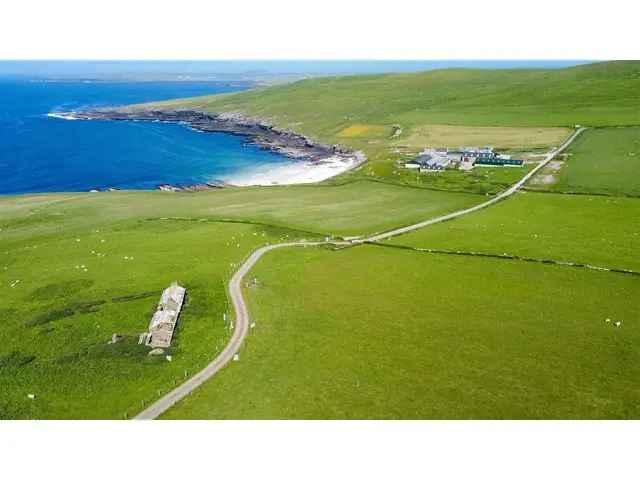 Westray Island Cottage 566 Acres Clifftop Views