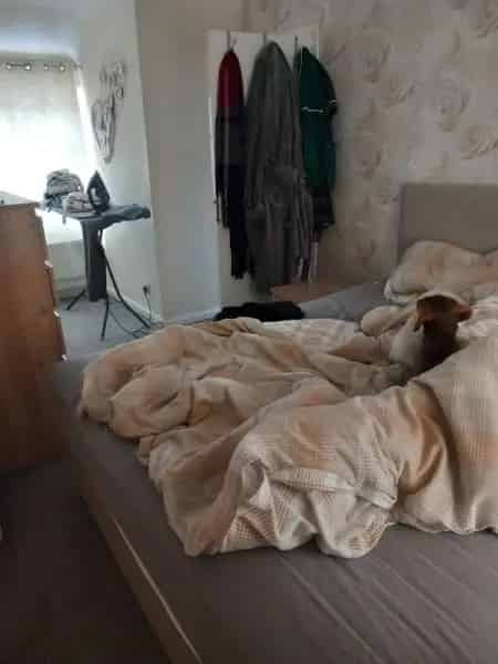 3 Bed House in Staveley