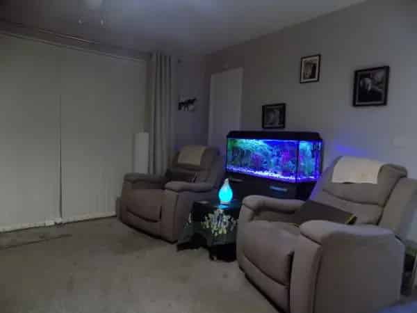 1 Bed Ground Floor Flat Wheelchair Accessible Garden Quiet Area