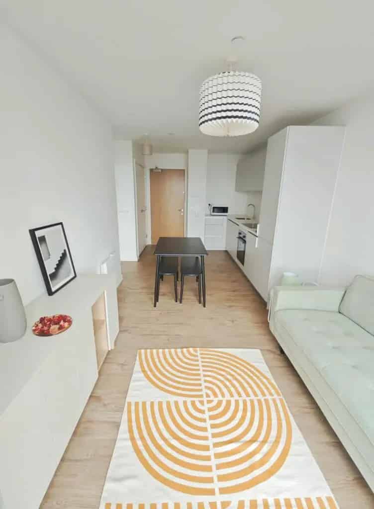 Brand New 1 Bedroom Furnished Apartment South Central