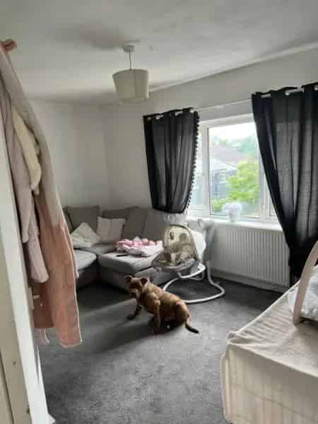 Flat For Rent , Paignton, England
