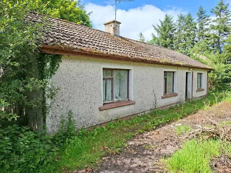 Derelict Cottage and 11 Acres Near Monea