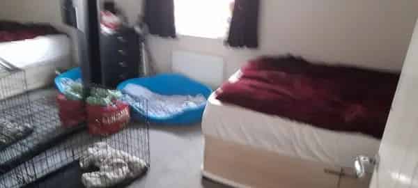 2 Bed House with Parking Garden Pets Allowed Holbeach