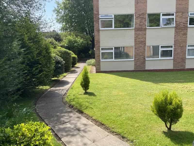 Modern 1 Bedroom Apartment Kings Heath Available End June