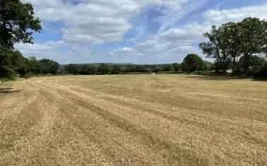 90.98 Acres Arable and Pasture Land with Woodland near Cullompton
