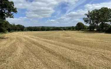 Land For Sale in Mid Devon, England