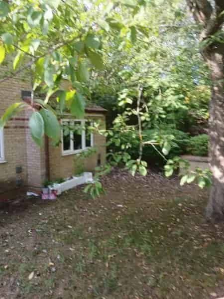 Flat For Rent , East Suffolk, England