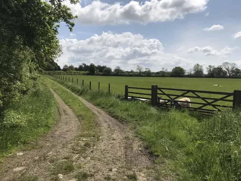 North Yorkshire Pastoral Farm with Enhanced Grassland and Hedgerows