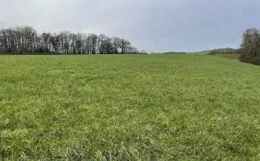 Agricultural Land Tenancy or Licence Available