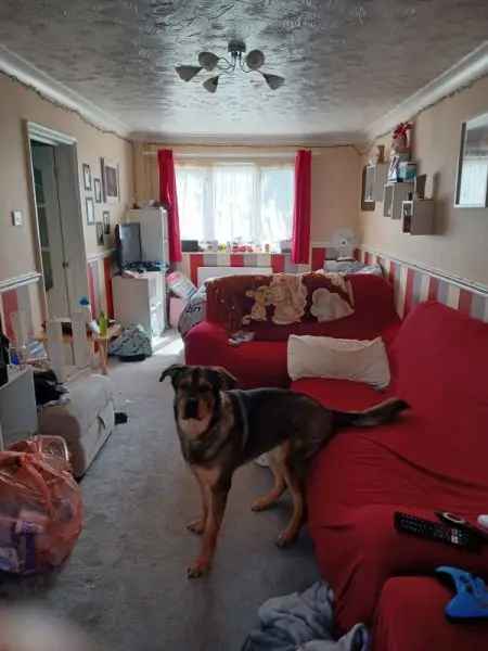 House For Rent in Basildon, England