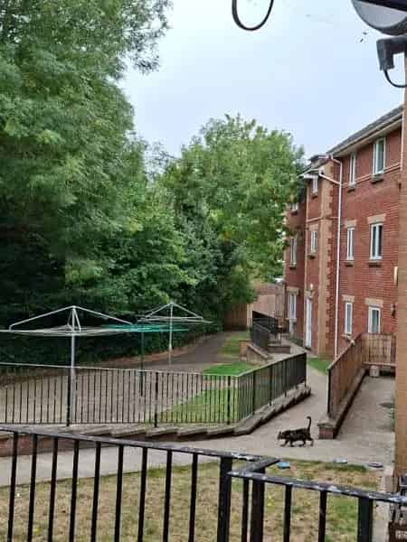 Flat For Rent , Chippenham, England