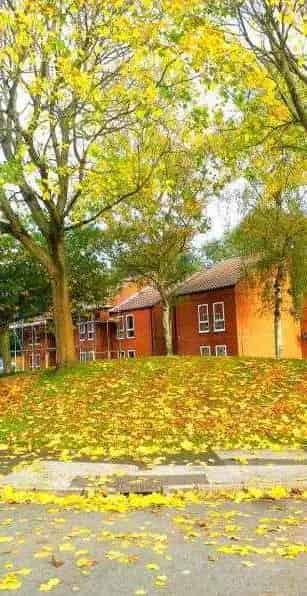 2 Bed Flat Swap for 3 Bed House in Birmingham