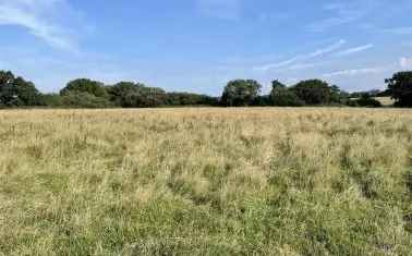 Land For Sale in Mid Devon, England