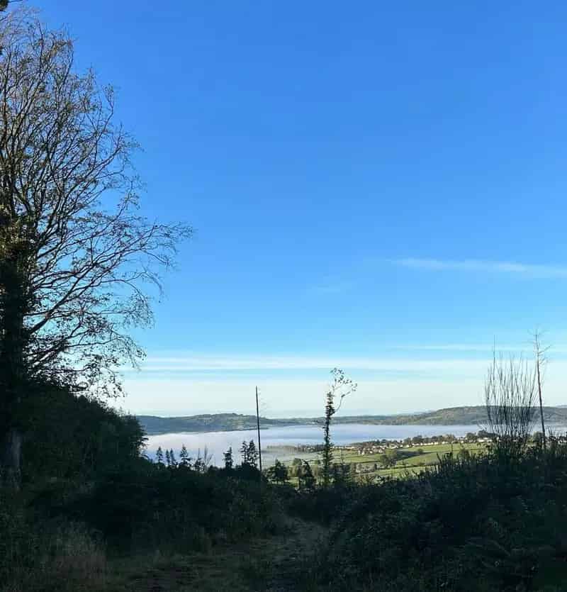 Land for Sale: Tenure and Ownership Rights