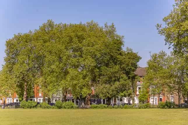 Beautiful Garden Maisonette in Hurlingham London