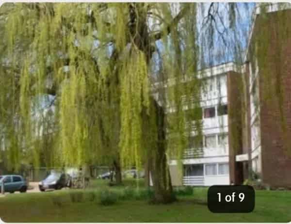 2 Bed Ground Floor Flat