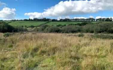 81.46 Acres of Undulating Land in West Devon