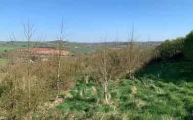 Agroforestry Plot with Reservoir and Solar Pump