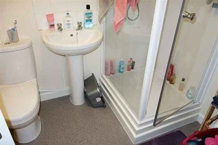 1 Bedroom Flat Near Bath and Bristol