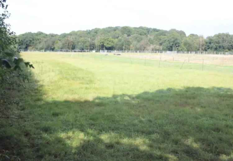 4 Acre Grazing Property with Paddocks and Shelter