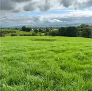 10.3ha Species-Rich Grassland Habitat Enhancement Site Staffordshire Derbyshire