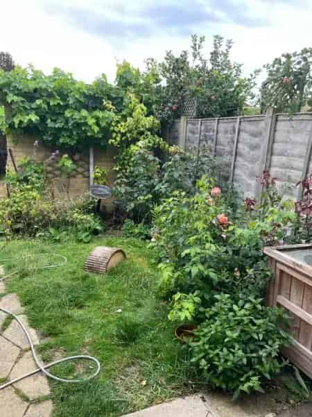 3 Bedroom House with Garage Seeks Upgrade to 4-5 Bedrooms