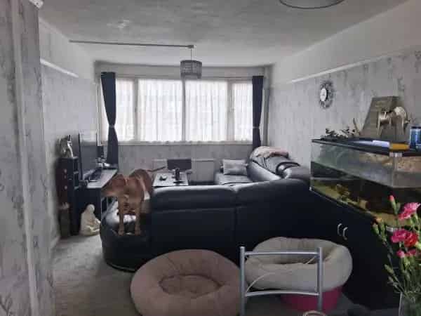 Newly Decorated Home Near Schools and Hastings Country Park