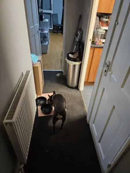 2 Bedroom First Floor Flat with Lift and Balcony