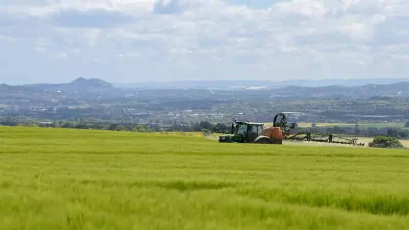 West Binny Farm: Productive Mixed Farming Unit