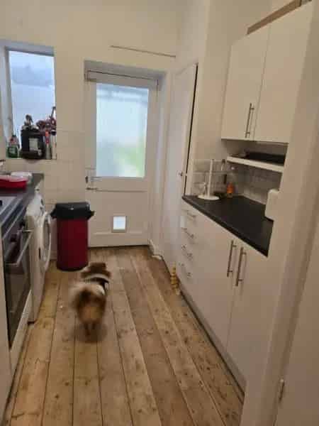 Flat For Rent , London, England