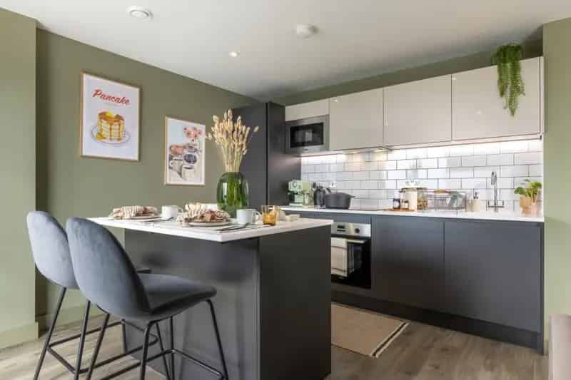 1 Bedroom Apartment Low Deposit City Views Gym Wi-Fi Pet Friendly