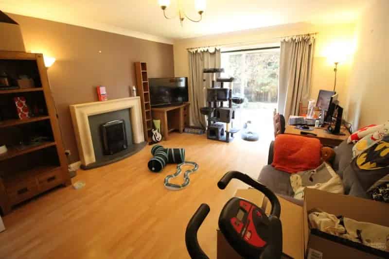 3 Bedroom House To Rent Available July 30 2025