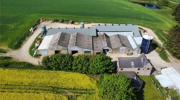 Farm For Sale in Scotland