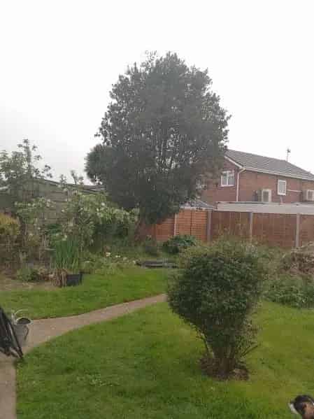 Old Council Semi Bungalow RTB All Pets Allowed South Garden
