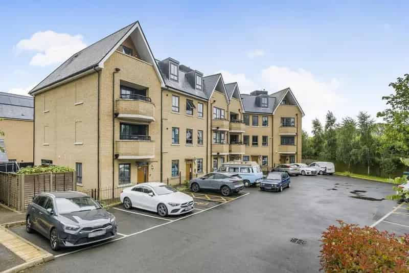 Spacious One Bedroom Apartment Near Crystal Palace Park