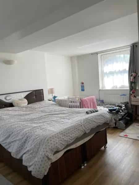 2 Bed Ground Floor Flat Private Garden High Ceilings