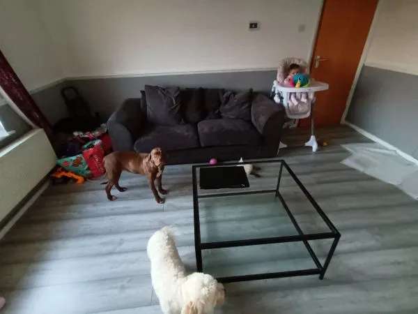 Flat For Rent in Basildon, England