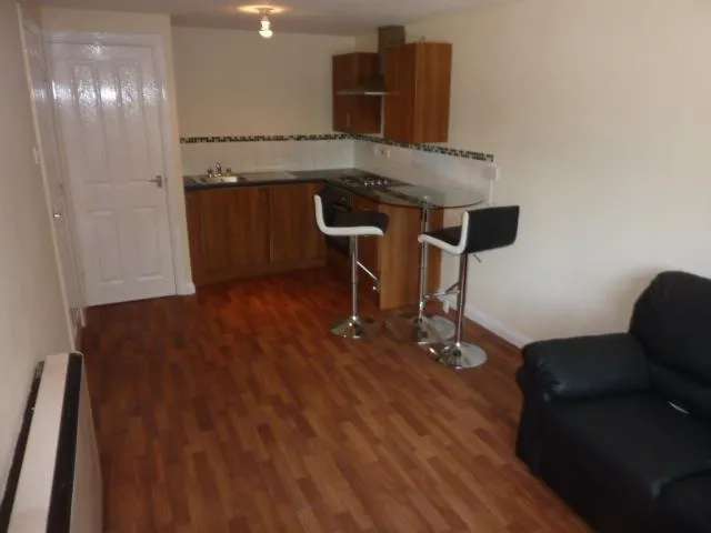 1 bedroom apartment to rent