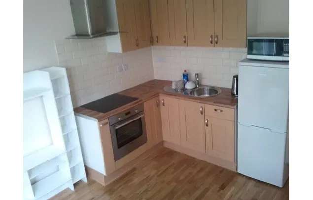 Rent 1 bedroom flat in London